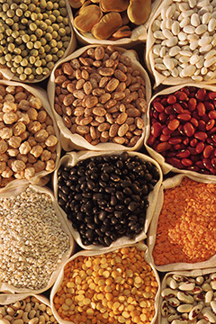 image of nuts, grains and legumes