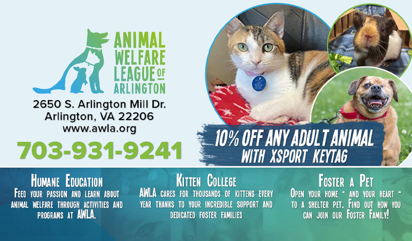 Animal Welfare League of Arlington thumbnail ad